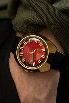 Shop Q Timex Watches